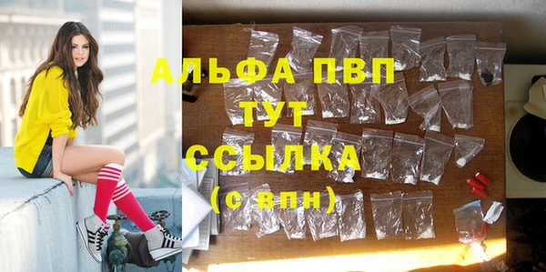 ECSTASY Баксан